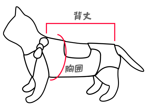 猫用採寸箇所