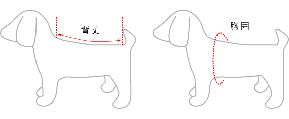 犬用猫用おむつカバー採寸