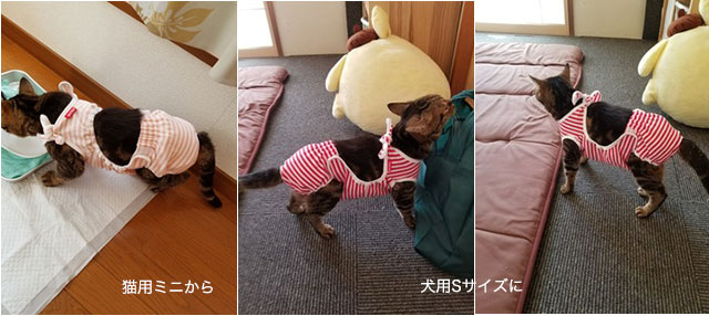 猫用から犬用へ変更　おむつカバー