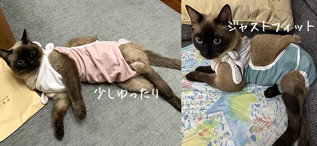  おーちゃん着せるおむつカバー