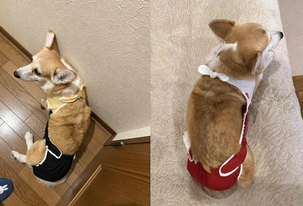  マリーちゃん着せるおむつカバー
